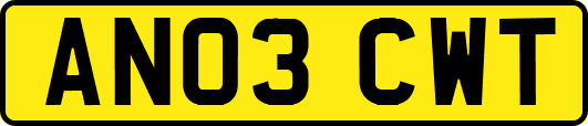 AN03CWT