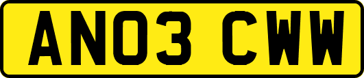 AN03CWW
