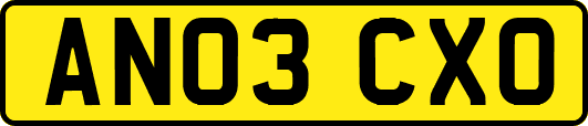 AN03CXO