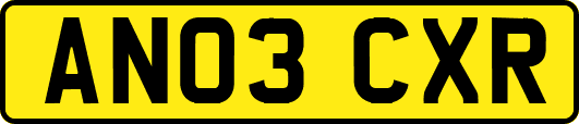 AN03CXR