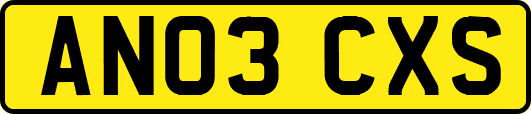 AN03CXS