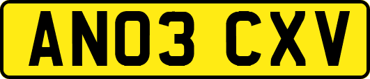 AN03CXV