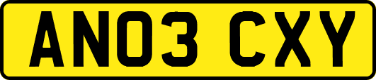 AN03CXY