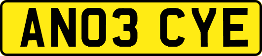 AN03CYE
