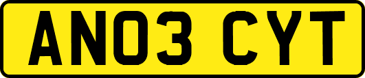 AN03CYT