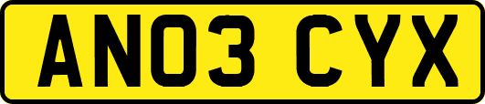 AN03CYX