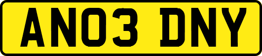 AN03DNY
