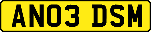 AN03DSM