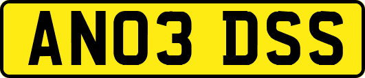 AN03DSS
