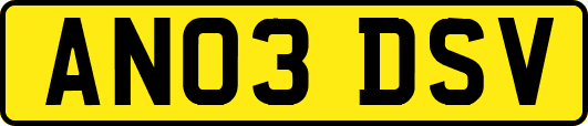 AN03DSV