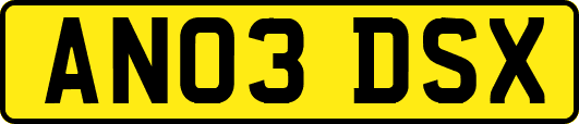 AN03DSX