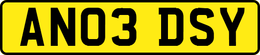 AN03DSY