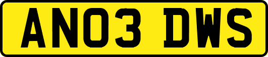 AN03DWS