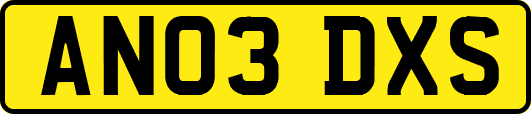 AN03DXS