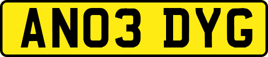AN03DYG