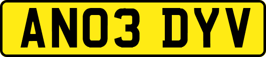 AN03DYV
