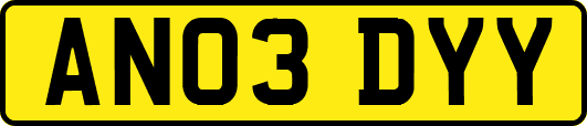 AN03DYY