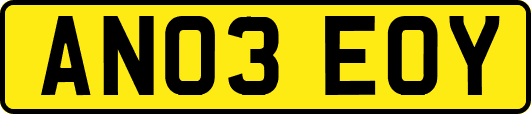 AN03EOY