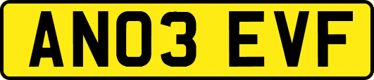 AN03EVF