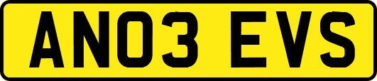 AN03EVS