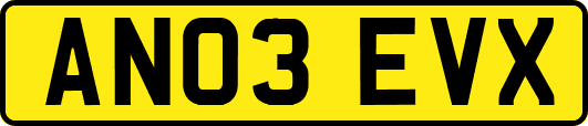 AN03EVX