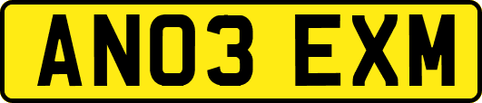 AN03EXM