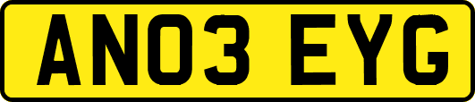 AN03EYG