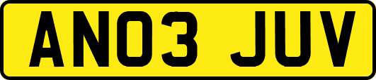 AN03JUV
