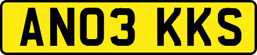 AN03KKS