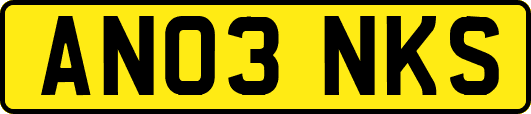 AN03NKS