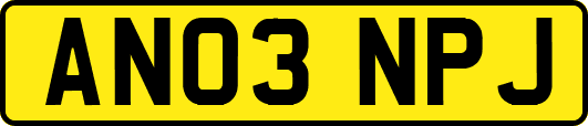 AN03NPJ