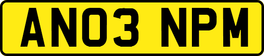 AN03NPM