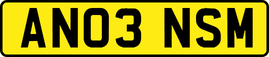 AN03NSM