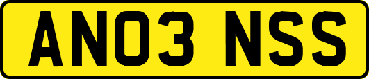 AN03NSS