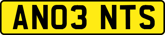 AN03NTS