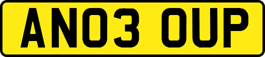 AN03OUP
