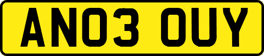 AN03OUY