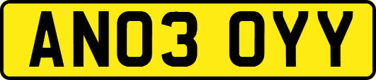 AN03OYY