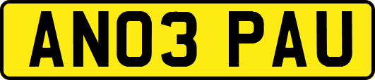 AN03PAU