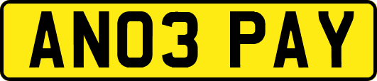 AN03PAY