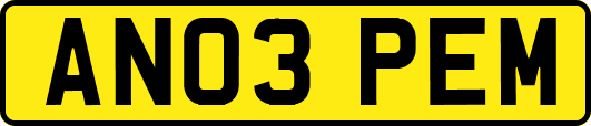 AN03PEM