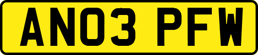 AN03PFW