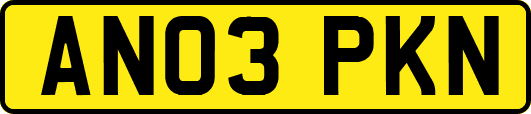 AN03PKN