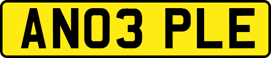 AN03PLE