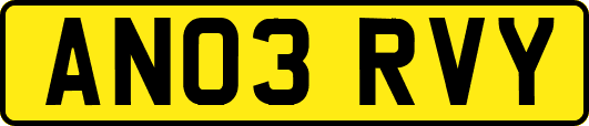 AN03RVY