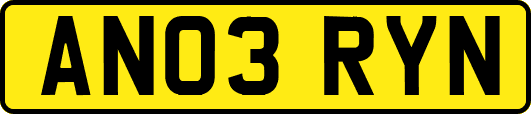 AN03RYN