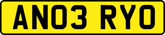 AN03RYO
