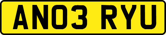 AN03RYU