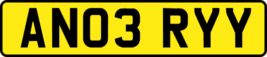 AN03RYY