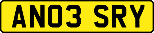 AN03SRY